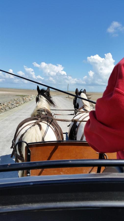 Les Chevaux De L'Hippocampe Hotell Mont-Dol Eksteriør bilde