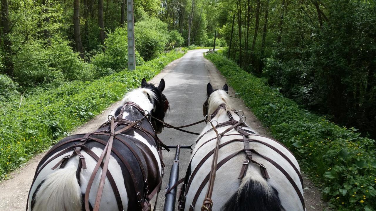Les Chevaux De L'Hippocampe Hotell Mont-Dol Eksteriør bilde